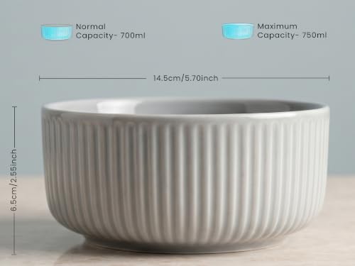 Image of Bodhi House Porcelain Large Serving Deep Bowl Set of 2 for Vegetable, Dal, Fruit, Cereal, Salad, Ramen, Mixing Bowl for Snack, Microwave Safe, Perfect for Dining and Gifting, Pearl Grey | 750 ml