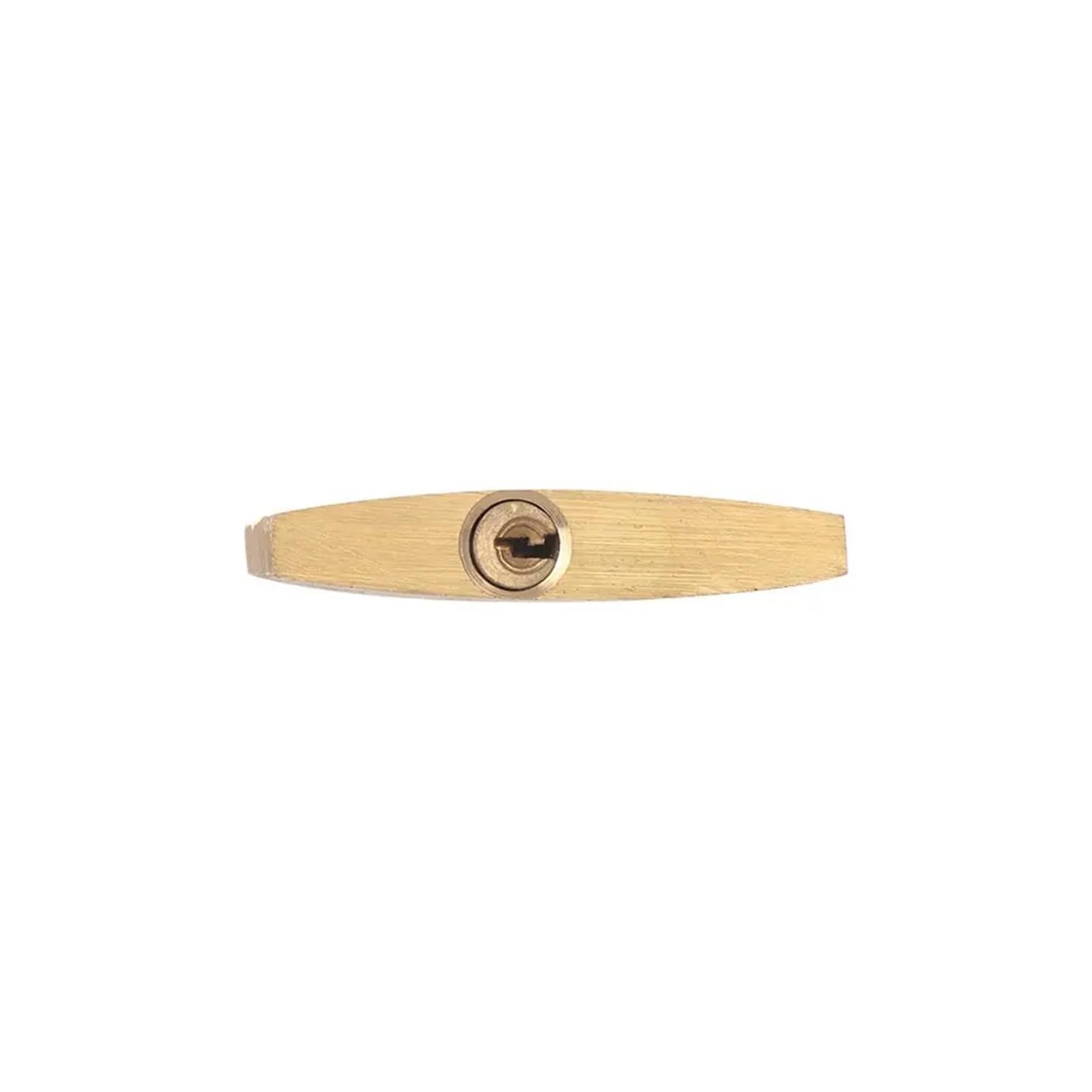 Mini mosiężna kłódka z 2 kluczami, walizka podróżna, mała miedziana kłódka, 1 szt. (2,5 x 3,5 cm)