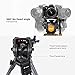 TARION TR-VT77 Camera Tripod Fluid Drag Head Tripod Full Panoramic View 360 1/4