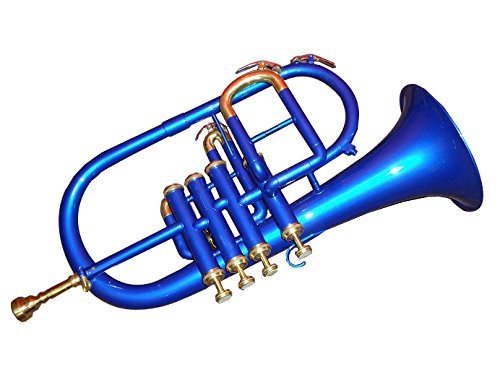 Sai Musical Store Bb Flugelhorn Low Pitch Brass Musical Instrument For Intermediate Student With Cushioned Hard Case #TOP1