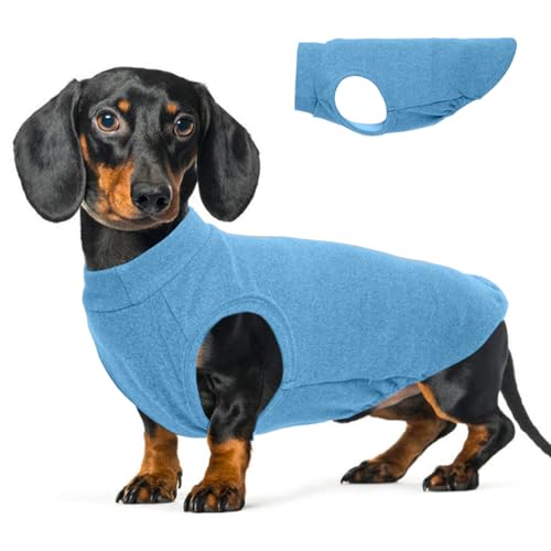 Image of Stretch Fleece Dachshund Sweater for Chilly Days, Blue, L | Warm Sleeveless Dachshund Clothes, Lightweight Breathable Pullover Sweatshirts for Outdoor Movement, Wiener Dog Clothes vest