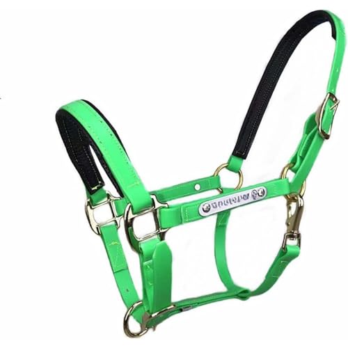 Sailozai n̎jAnpiAnp[vA|j[ ƌ`̃|j[p̃wbhMAANZT[B (O[,炢)