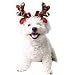 Dog Elk Reindeer Antler Hat Cap Bling Dog Cat Pet Christmas Costume Outfits Small Dog Headwear Hair Grooming Accessories (S, Red)