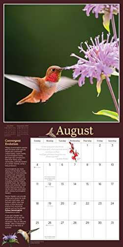 Snapklik.com : Audubon Birds In The Garden Wall Calendar 2024: Use ...
