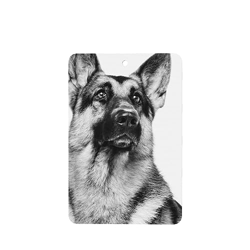 W[}VFp[hhbOԗpF p[\iCYꂽXCX J[A}Zs[^ubg ݂艺F܃J[h [vt 4 ԂƂ̑p