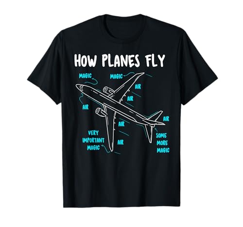 How planes fly