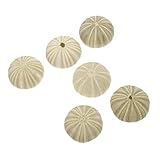 Pots de fleurs créatifs en forme d'oursins de mer : ils offrent une ambiance unique et transforment votre aquarium en un décor original. accessoires pour aquarium