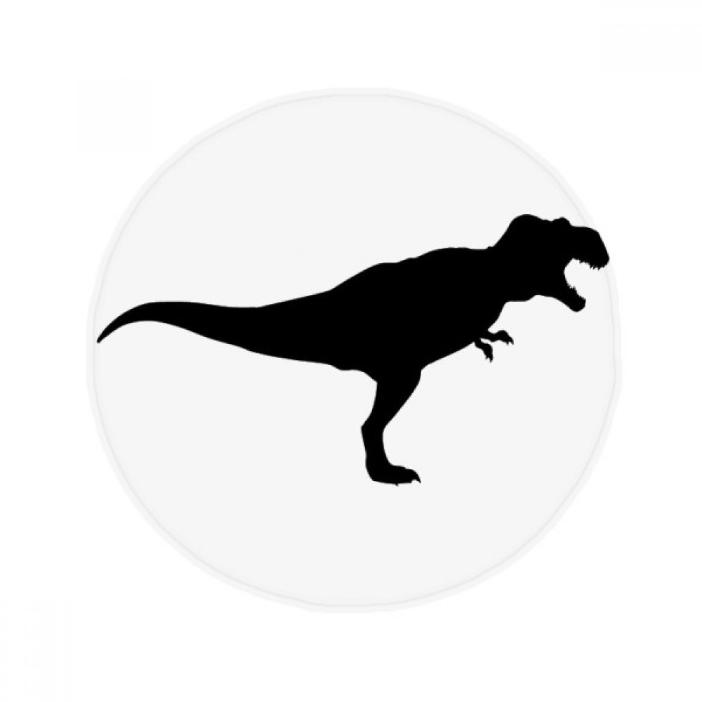 Tapis dinosaure rond 50cm une idée cadeau originale pour salon et chambre