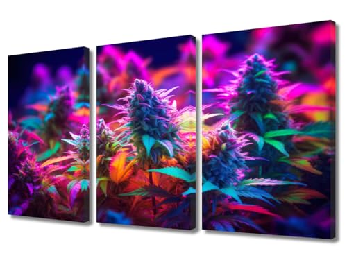 Toile murale marijuana grand format œuvre d'art sur châssis 91x61 cm