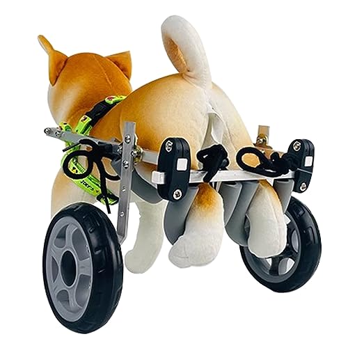 Silla de ruedas para perros y gatos pequeños o grandes con parálisis trasera