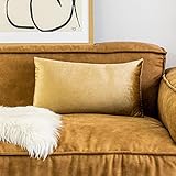 HOME BRILLIANT Spring Luxury Velvet Oblong Rectangular Throw Pillow Cover Cushion Cover for Sofa/Living Room/Wedding/Lounge/Party, 12