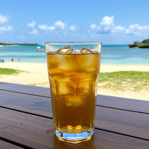 ポッカ 沖縄ポッカ さんぴん茶 500ml×24本