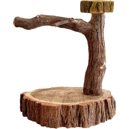 otoye~܂ؓVR؃XegIEᖁ܋玺VяXgXɘaP[WANZT[xe (20 cm,A)