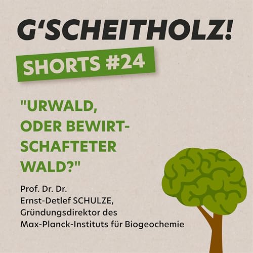 G'SCHEITHOLZ! SHORTS #24 – Urwald oder bewirtschafteter Wald, Herr Schulze? Titelbild