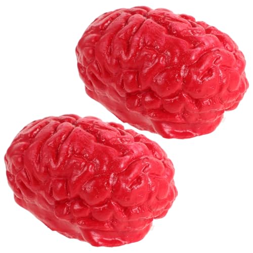 Faux cerveau humain réaliste pour farce de maison hantée et Halloween