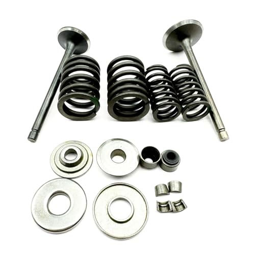 Kit de reconstrucción de válvulas para ATV 300B y FA-D300 5