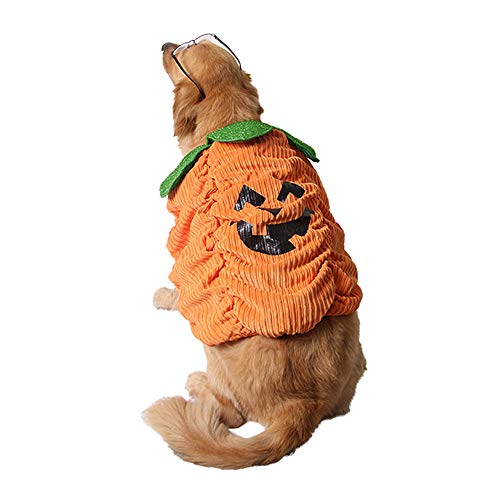 GREENWISH M Halloween Party Pet Clothes Dog Pumpkin Clothes Carnival Warm Costume Dog Cosplay Suits