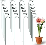 Fabulas 24 Pack Plant Support Stakes, 16 Inch Metal Garden Plant Stakes Single Stem Support Rings for Indoor Outdoor Amaryllis, Flowers Orchid, Lily, Peony, Rose, Tomato, Monstera, Narcissus