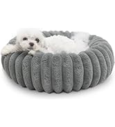 Donut Dog Bed for Small Dogs Cat Beds for Indoor Cats Comfort Anti-Anxiety Calming Small Dog Bed ...