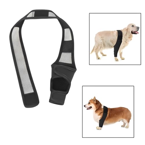 Joelheira para Cães, Recuperação Acelerada e Circulação Sanguínea, Rupturas do LCA, Luxação da Patel