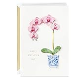 Hallmark Signature Mother's Day Greeting Card (Little Reminder)