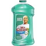 Mr. Clean 40 Ounce