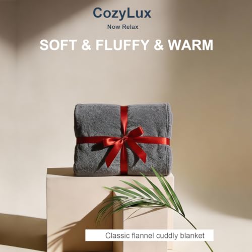 CozyLux Kuscheldecke Flauschig Decke 150x200 - XL Flanell Kuscheldecke 150x200, Weiche Sofa Decke, Warme Fleecedecke Wohndecke für 4 Jahreszeiten, Leicht Sofa Überwurf, Blanket 150x200 cm, Grau