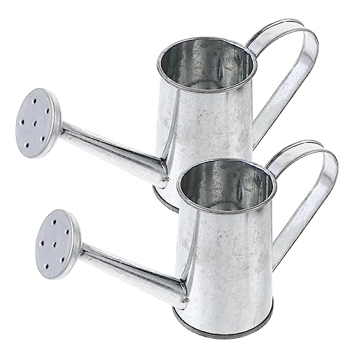WEKADRIN 2 Piezas Regadera de Hierro Duradera para Plantas con Boquilla de Macetas Pequeñas para Riego Interior y Exterior de Orquídeas Bonsáis y Flores