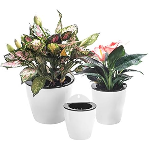 ORIMERC Self-Watering Wall Planter Cover