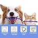 Apatal 100Pcs Dog Toothbrush Dual Headed Puppy Tooth Brushing Kit Long Handle Soft Grooming Pet Dental Brushes Convenient Double Sided for Pets Puppy Teeth Brush Cleaning Oral Care Supplies-Blue