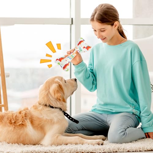 Anseom 2 Stück Hund Geburtstag Spielzeug Set, Dauerhaft Hunde Geburtstags Plüschtier Hundetorte Geburtstag für Hunde Weich und Bequem Quietschend Geburtstagsgeschenke