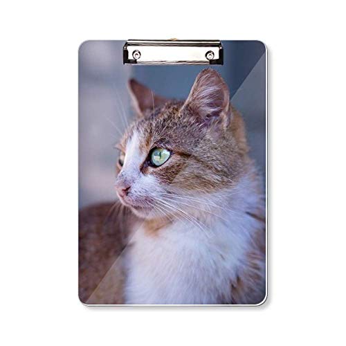 Bloc-notes chat chat marron A4 pour prendre des notes au bureau