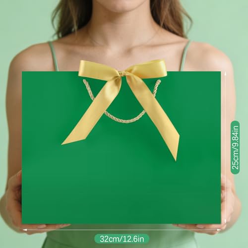 Image of JMANNI Gift Bags with Handles, 13 inch Medium Gift Bag for Presents, 1 Pcs Bags with 2 Tissue Paper and 1 Cards for Baby Shower Wedding Bridal Shower Mother's Day Birthday Party (LightGreen)