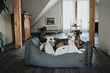 HUNTER Livingston Hundesofa, Hundebett, Strukturstoff, klassisch, M, anthrazit, 80 x 60 x 25 cm