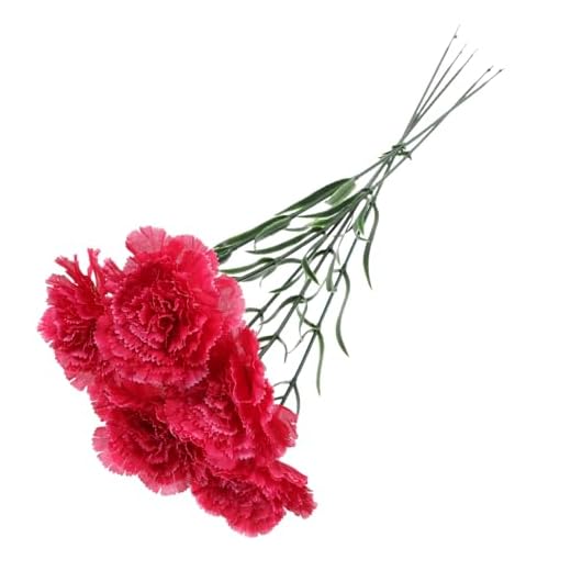 MAGICLULU 5 Piezas Clavel De Simulación Ramos De Flores De Boda Selecciones De Claveles De Seda Flores Falsas De Seda Ramos De Flores De Clavel Arreglo Floral Madre El Plastico Modelado