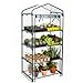 Worth 4 Tier Mini Greenhouse Indoor Outdoor Kit for Winter Zipper Door Seedlings & Seed Propagation Plant Growing