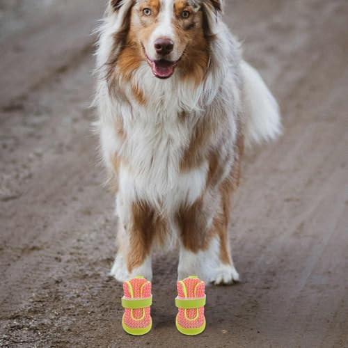 Chaussures pour chiens pour protéger les coussinets et éviter les blessures - 7