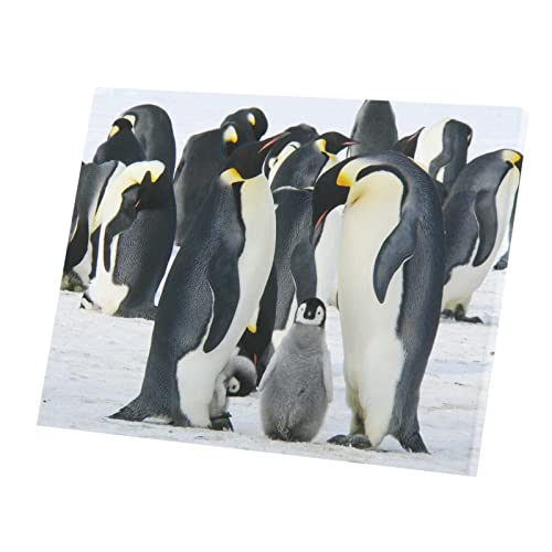 Toile imprimee pingouins banquise grand format pour decoration murale nature