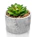 Porcelain Marble Vase Design + The Plants Fake But Stunningly Realistic Vibe┃Pre-Filled Fake Succulent Plants in Pot┃Faux Succulents are Perfect for Sprucing Up The Bathroom