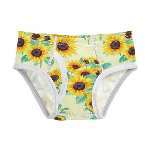 Yellow Sunflowers Toddler Boy's Underwear 2T 202c1901