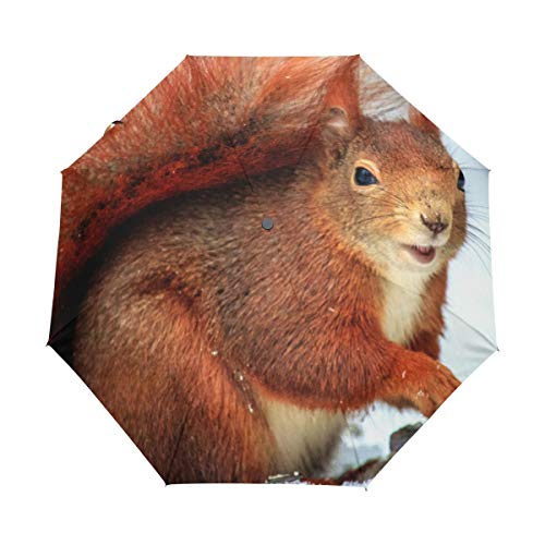 Preisvergleich Produktbild LUPINZ Regenschirm mit braunem Eichhörnchen und Schnee, faltbar, Winddicht, für Reisen
