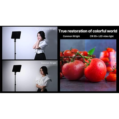 Ulanzi LT003 RGB LED panel de luz de video de 10 pulgadas para iluminacion de estudio 6