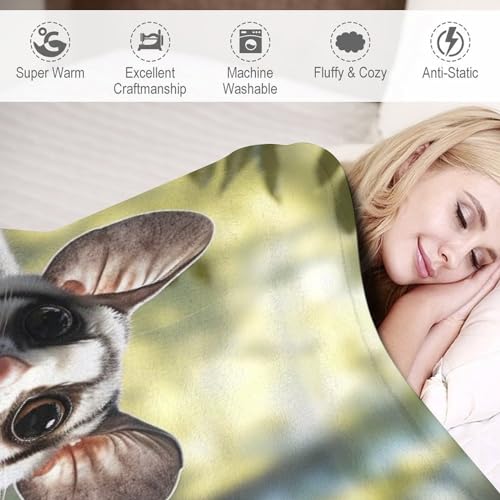 Couverture flannel polaire Flying Écureuil contre le froid douce pour canapé - 4