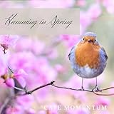 soft coloration migros  Soft Colors