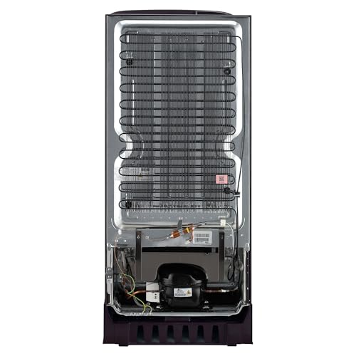 Image of LG 185 L, 5 Star, Smart Inverter, Direct Cool Single Door Refrigerator (GL-D201APIU, Purple ILAN, Moist N Fresh, Auto Smart Connect & Base Stand Drawer)