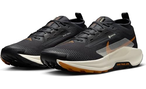 Image of Nike Men's Pegasus Trail 5 Gore-texSneaker