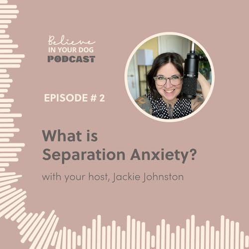 What is Separation Anxiety? cover art
