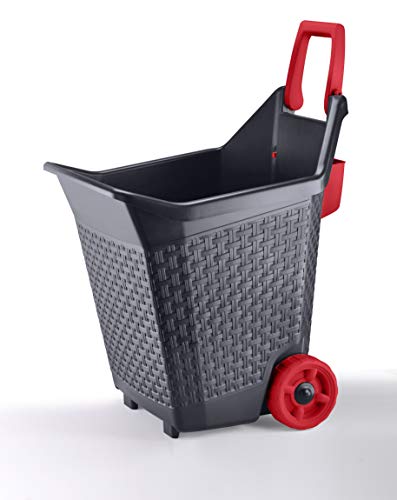 Carrello Da Giardinaggio - L 59 X L 50 X H 72 Cm - Rosso E Grigio