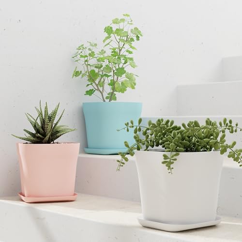 Image of StyleX Store Pack of 3 Square Plastic Flower Pot with Tray | Modern Indoor Outdoor Planter for Home Balcony Garden Office | Durable Lightweight Planter Pot | 6 Inch, Multi