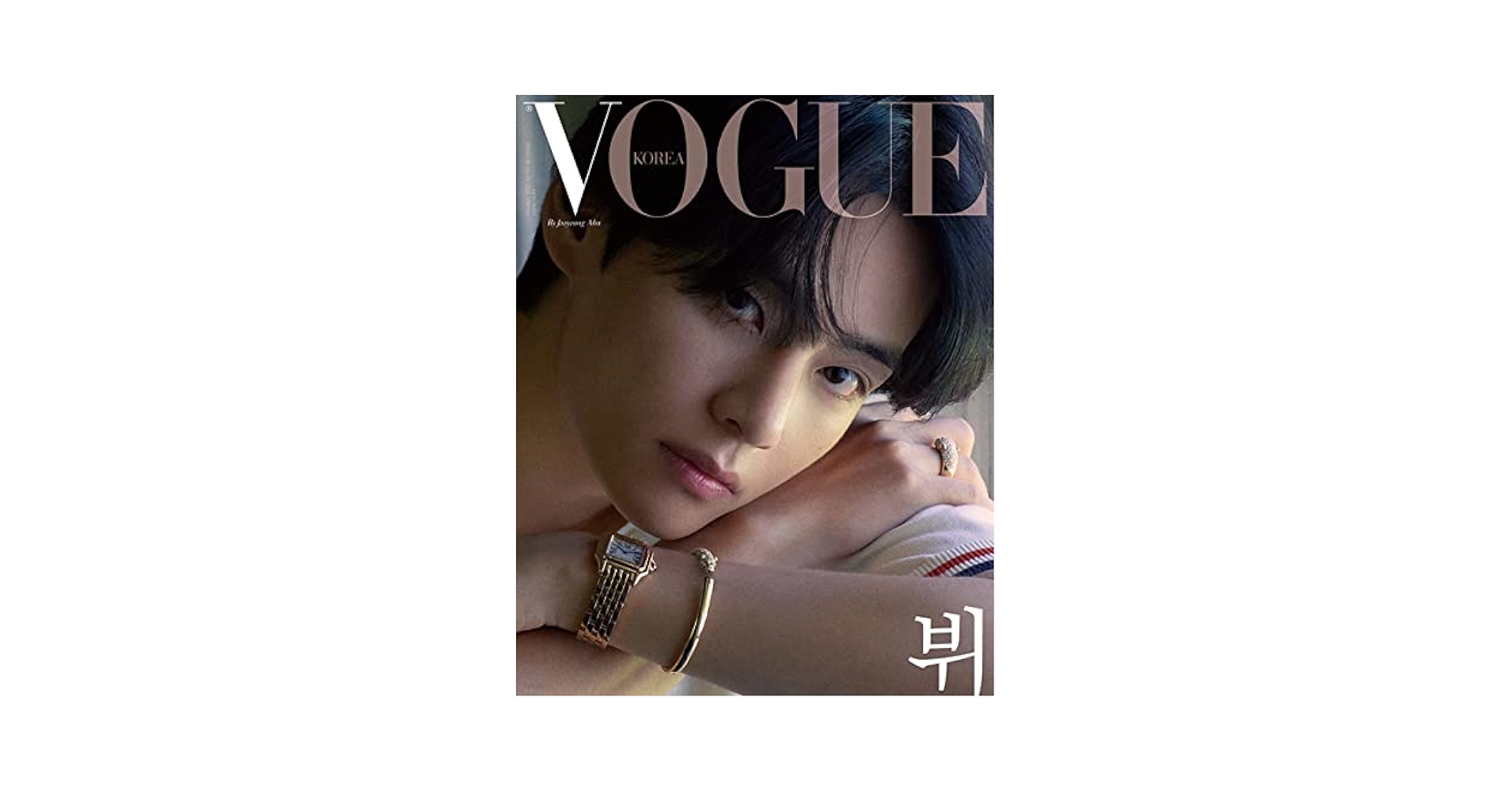 豪華本！ V Best Five Years of V Magazine 2冊組 豪華本 V Best